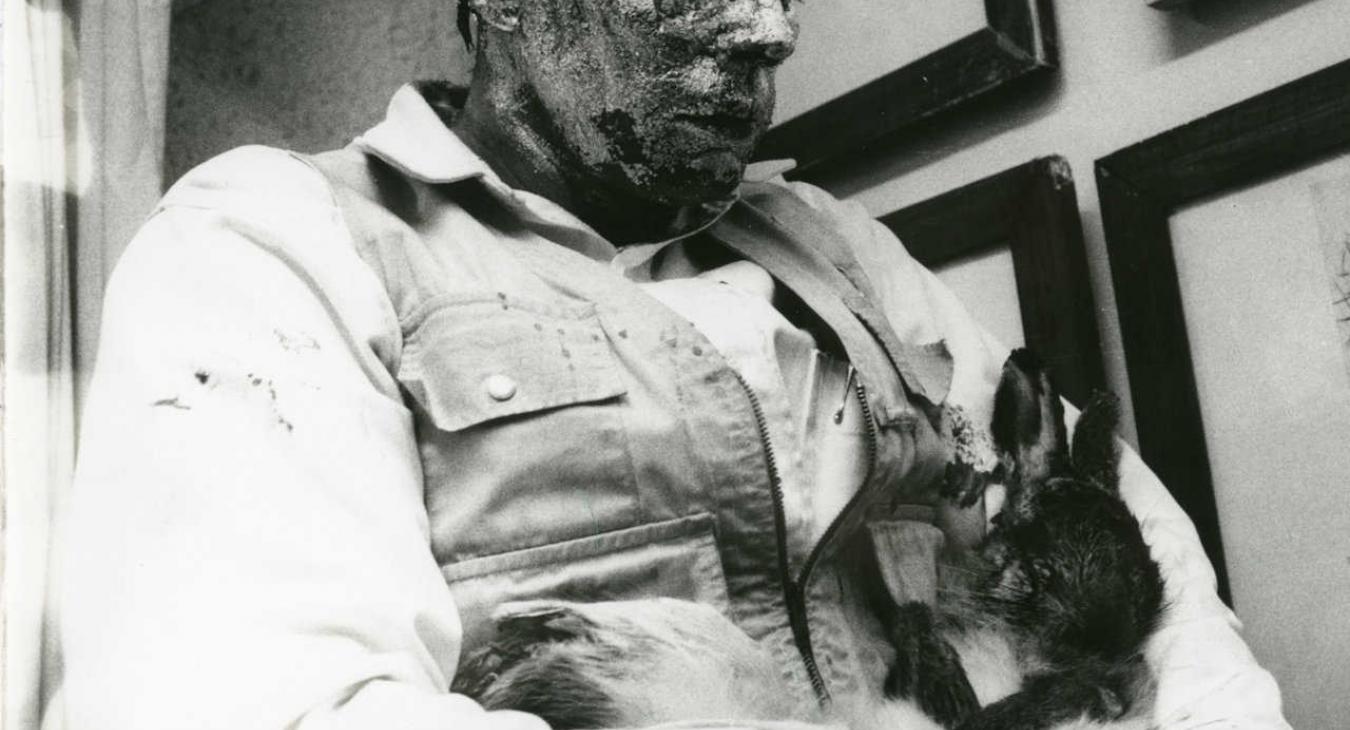 Wie man dem toten Hasen die Bilder erklärt